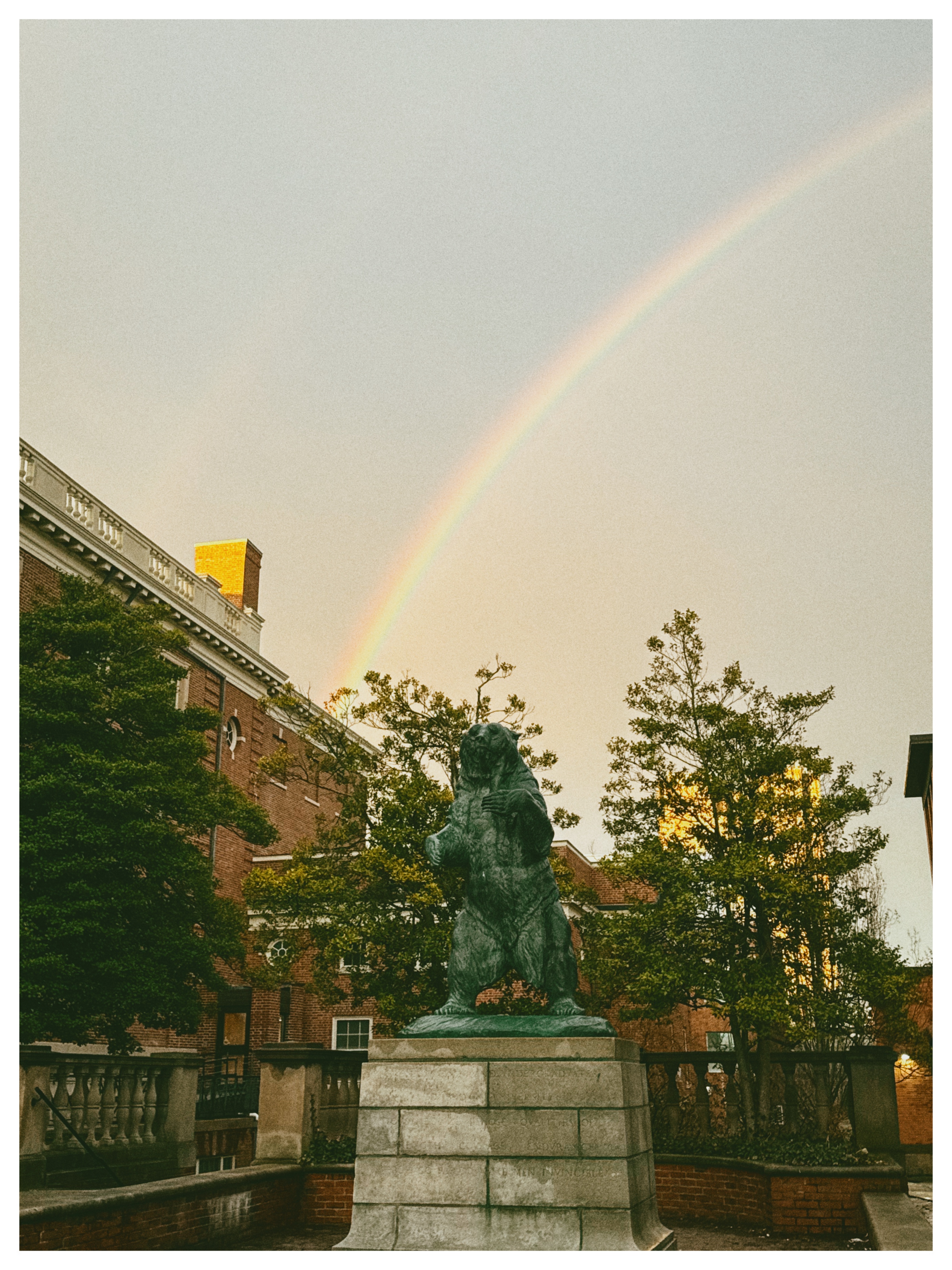 The bear, and a rainbow behind it